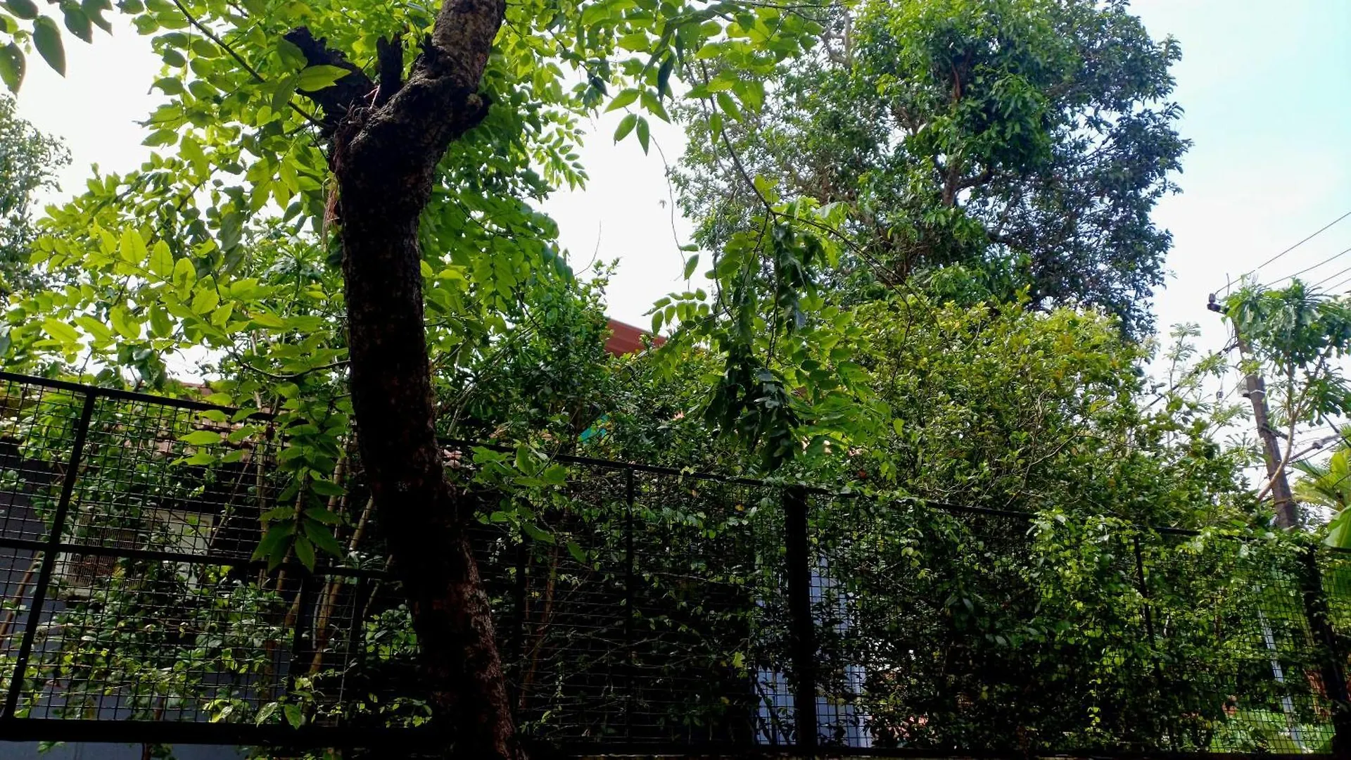 White Shore Beach Homestay Alappuzha Hindistan